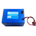 Electric Bike and Electric Bicycle LiFePO4 Battery 48V 10ah